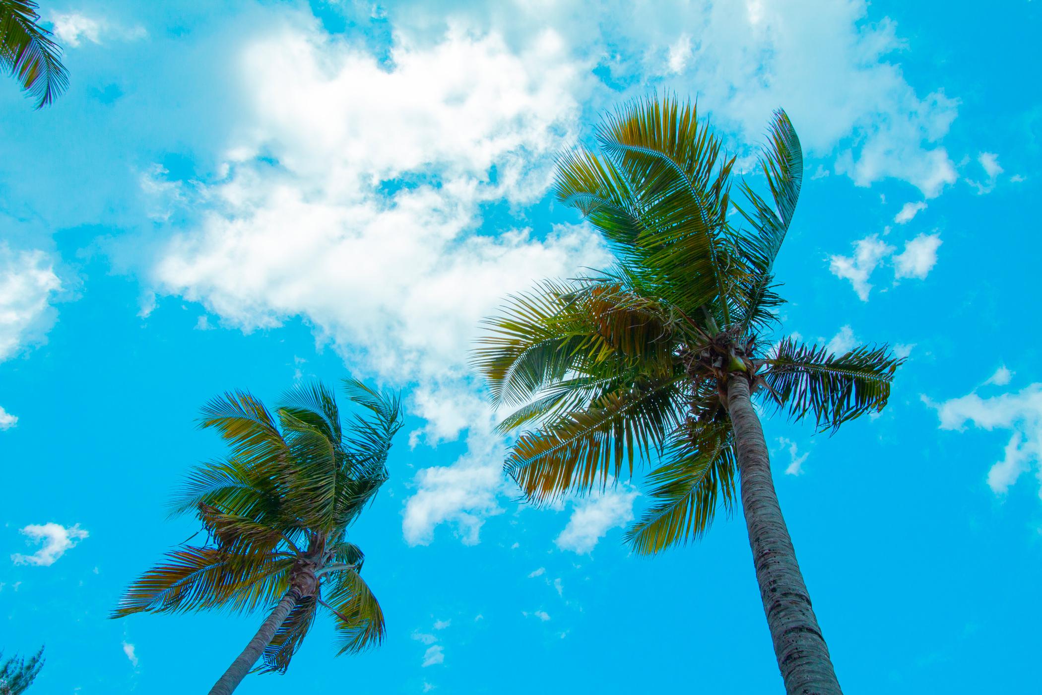 Tryp By Wyndham Isla Verde San Juan Bagian luar foto
